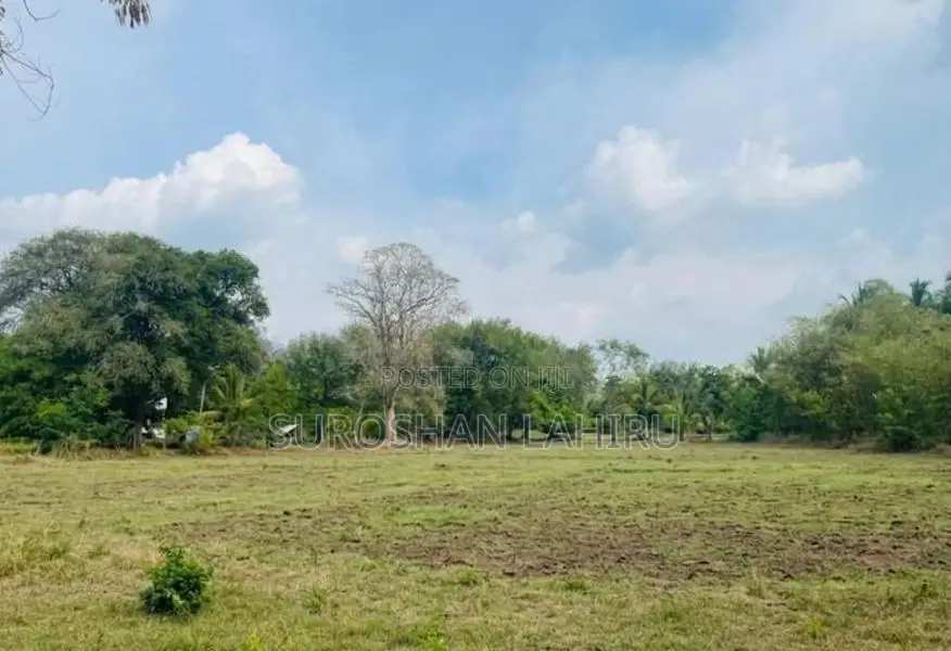 Land for Sale මහව