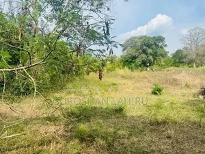 Land for Sale මහව