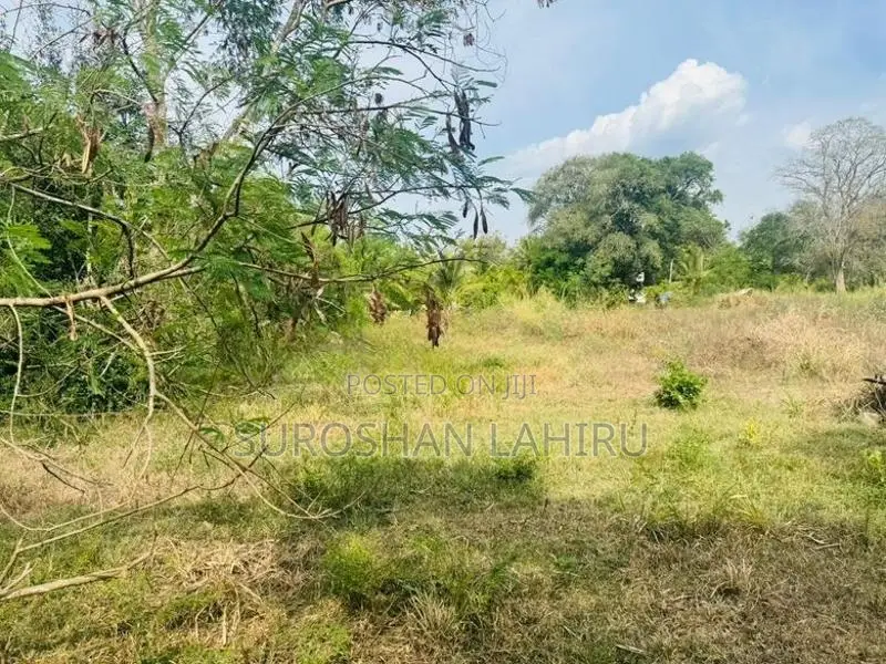 Land for Sale මහව