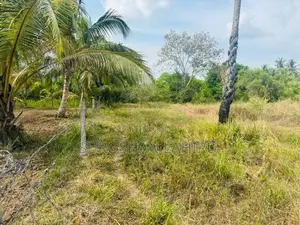 Land for Sale මහව