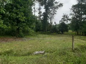 10perch Land for Sale in Kaduwela