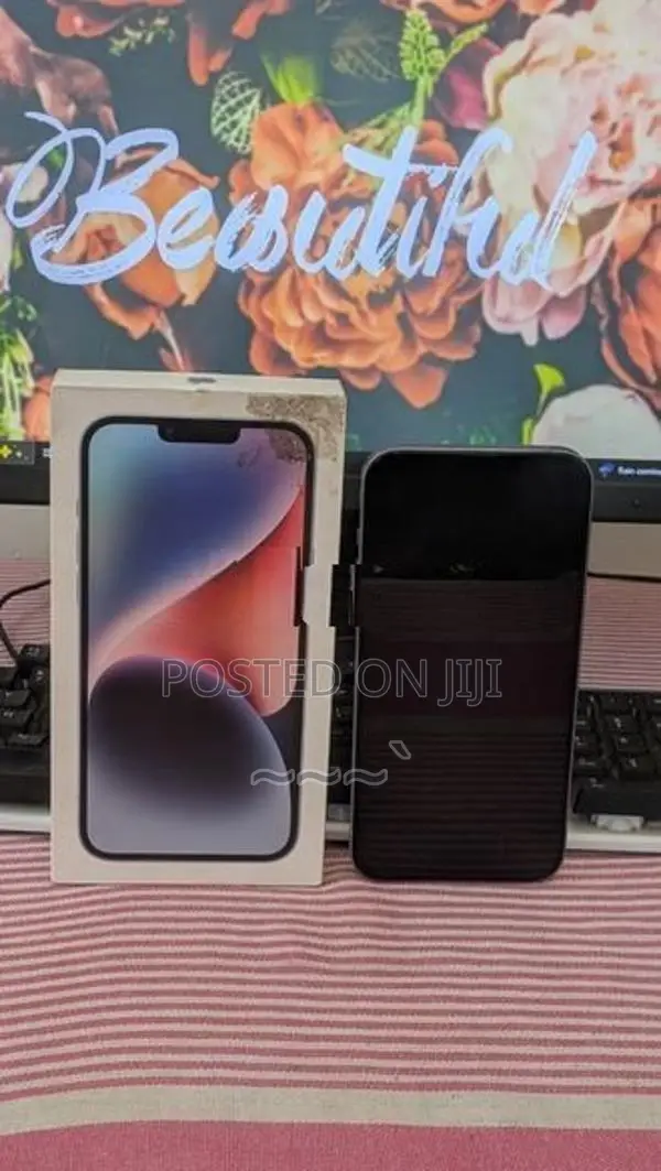 Apple iPhone 14 Plus (Used)