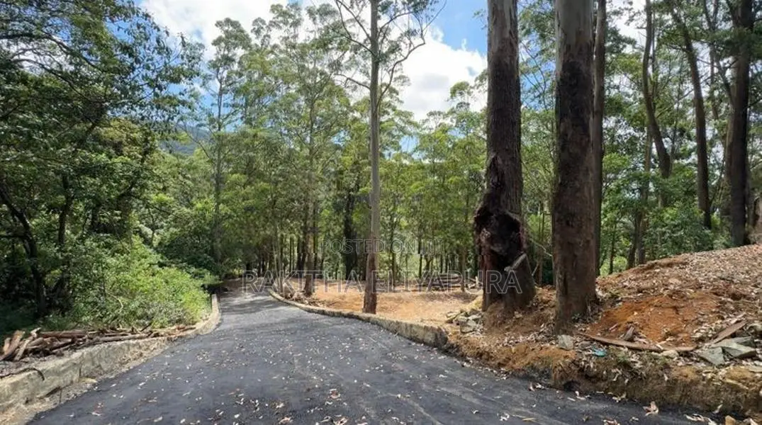 Land for Sale in Front of Hakgala Botanical Garden Nuwara Eliya