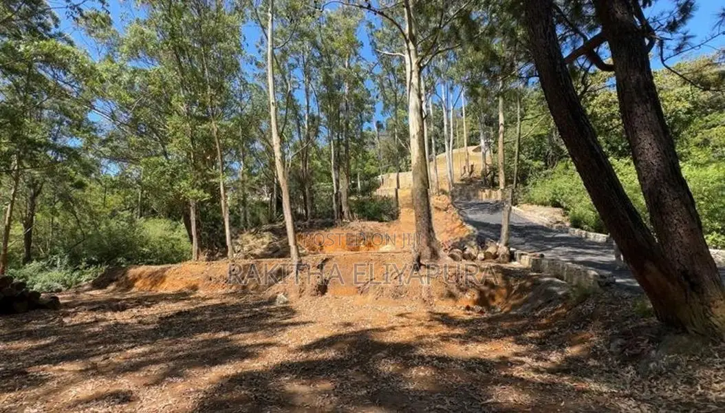 Land for Sale in Front of Hakgala Botanical Garden Nuwara Eliya