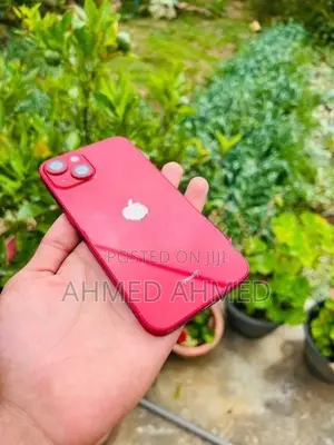 Apple iPhone 13 (Used)