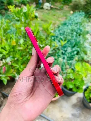 Apple iPhone 13 (Used)