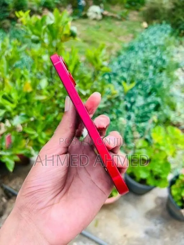 Apple iPhone 13 (Used)