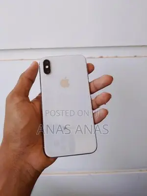 Apple iPhone X 256gb (Used)