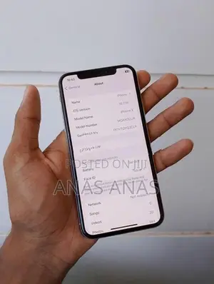 Apple iPhone X 256gb (Used)