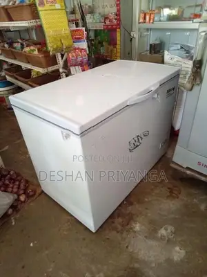 Singer Freezer R600a Eco Friendly