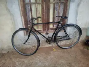පාපැදි