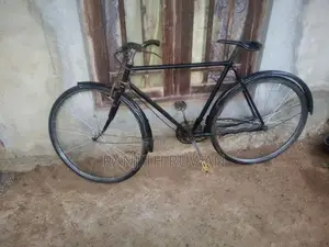 පාපැදි