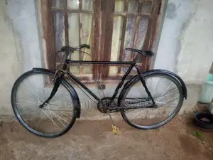 පාපැදි