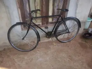 පාපැදි