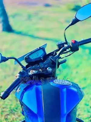 TVS Apache RTR 160 2019