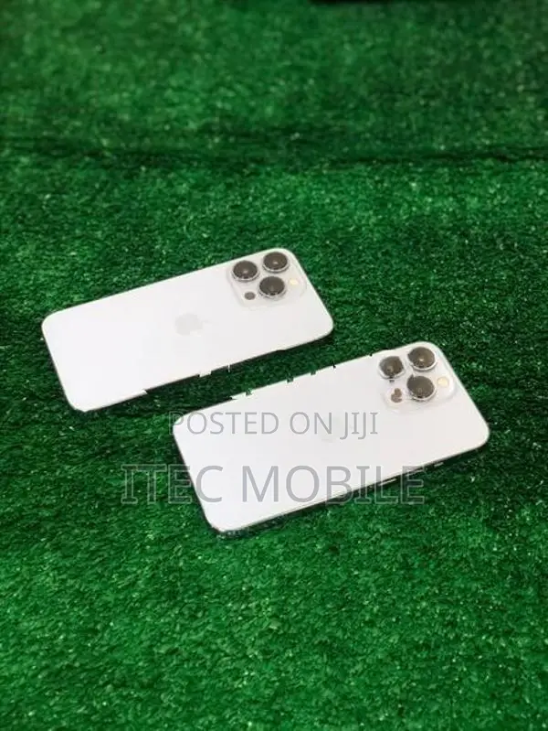 Apple iPhone 13 Pro (Used)