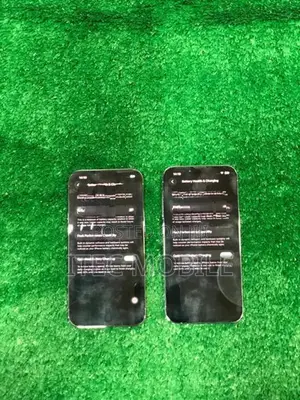 Apple iPhone 13 Pro (Used)