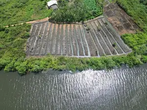 Panadura - Hirana Bolgoda Lake Facing Agriculture Land Plot Sale