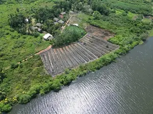 Panadura - Hirana Bolgoda Lake Facing Agriculture Land Plot Sale
