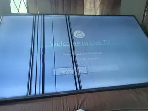 Hisence 65"le Dtv