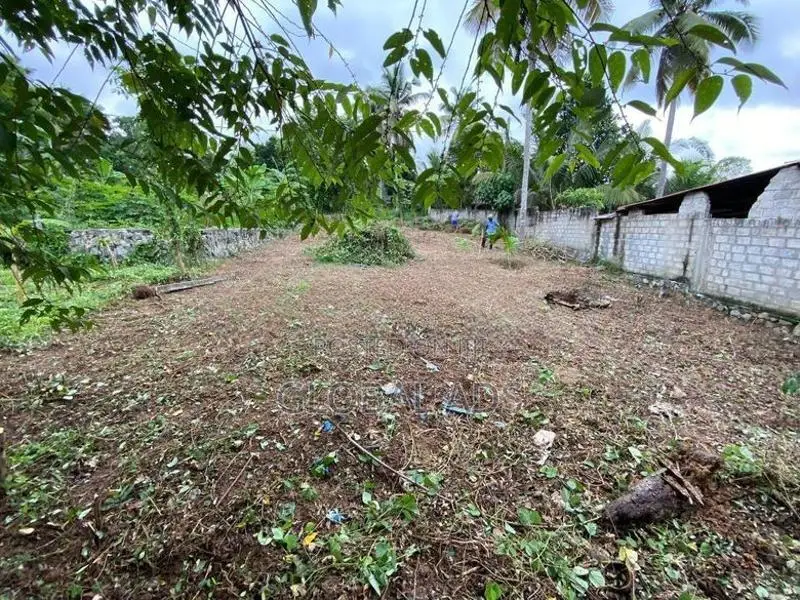 Land For Sale in Katunayake – Andiambalama