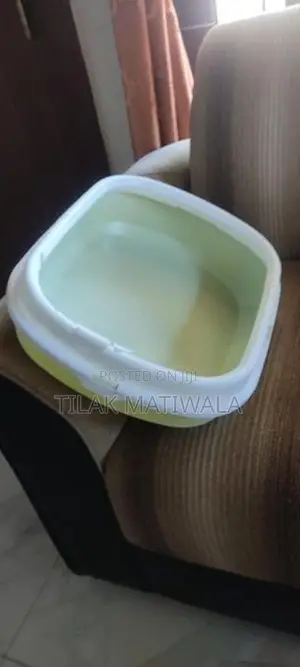 Cat Litter Box