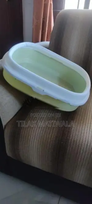 Cat Litter Box