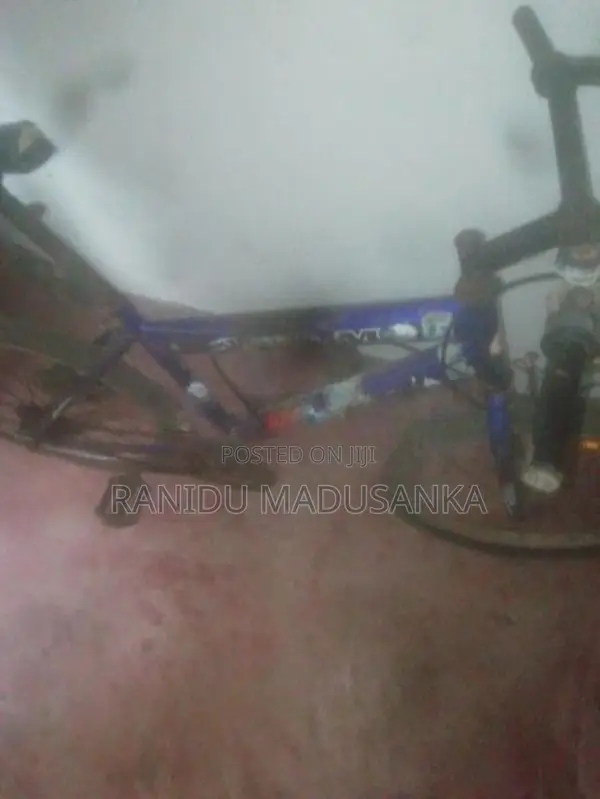 Bicycle