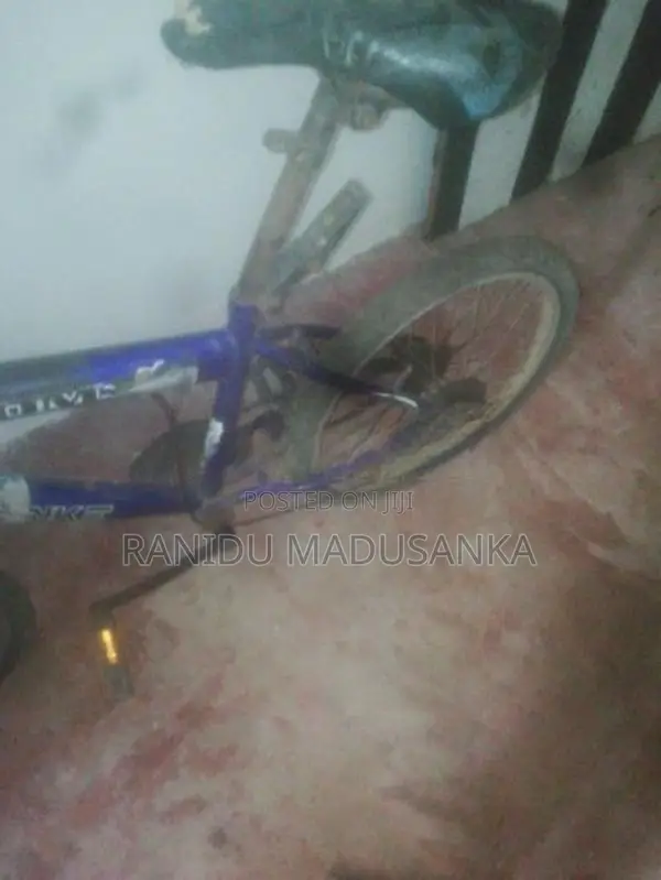 Bicycle
