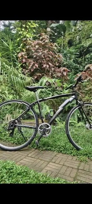 Alloy Bicycle