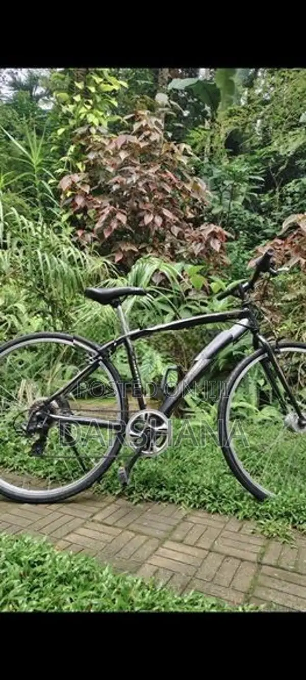 Alloy Bicycle