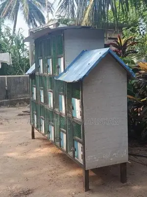 Bird Cages