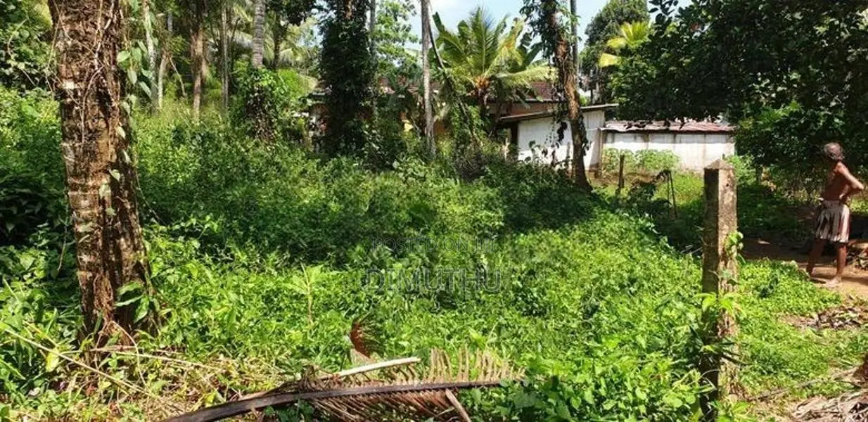 Land for Sale Hanwella