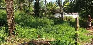 Land for Sale Hanwella