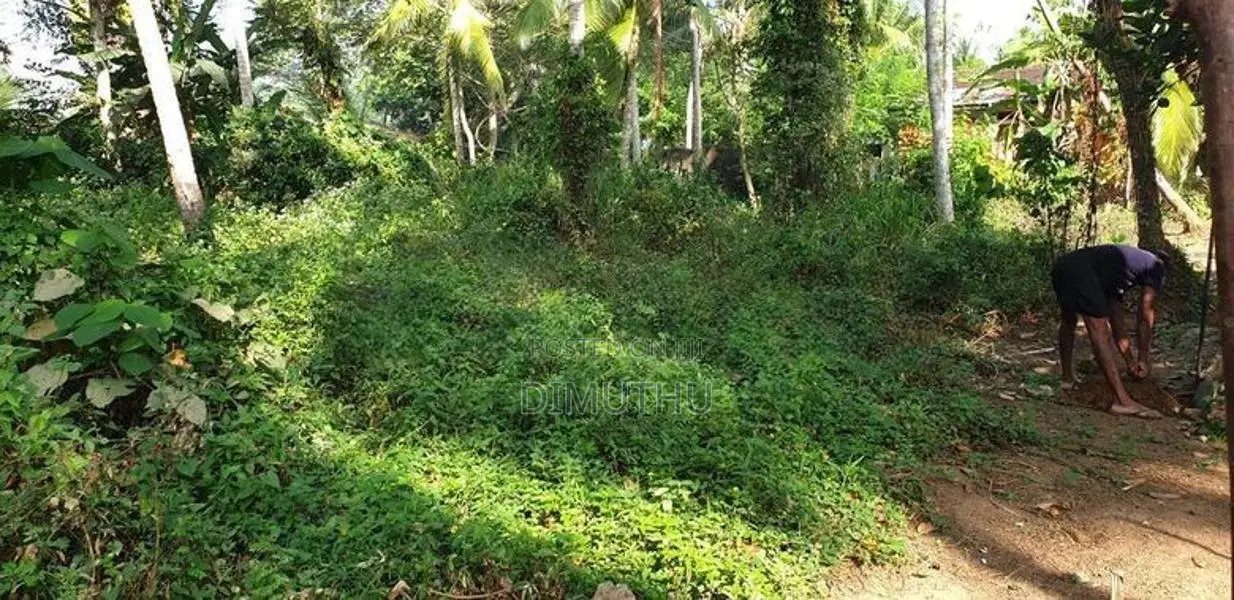 Land for Sale Hanwella