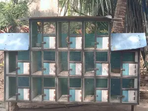 Bird Cages