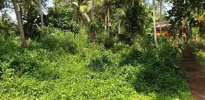 Land for Sale Hanwella