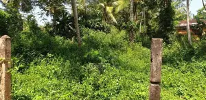 Land for Sale Hanwella