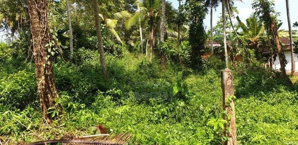 Land for Sale Hanwella
