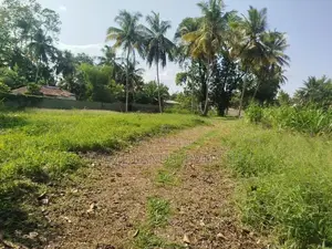 බොල්ගොඩ වැවට මුහුනලා බිම් කොටස් විකිණීමට