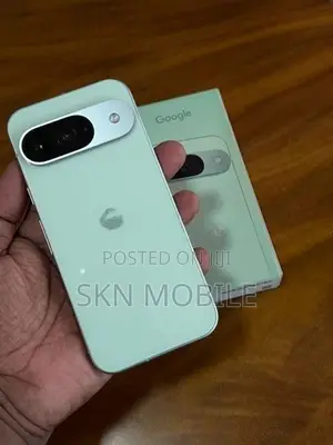 Google Pixel 9 8GB 128GB (Used)