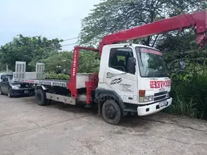 Mitsubishi Fuso 2010