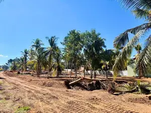 කැස්බෑව 120පාරට ලගින් අග්‍රගණ්‍ය බිම්කොටස්