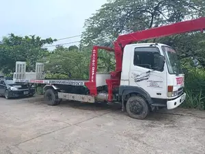 Mitsubishi Fuso 2010