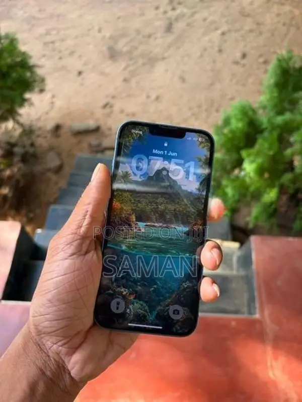Apple iPhone 13 128GB (Used)