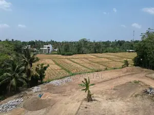 පිළියන්දල කහතුඩුවෙන් සුපිරි බිම් කොටස්