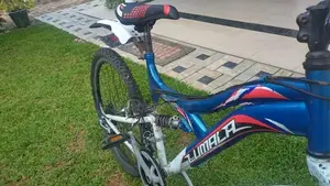 Lumala Bicycle