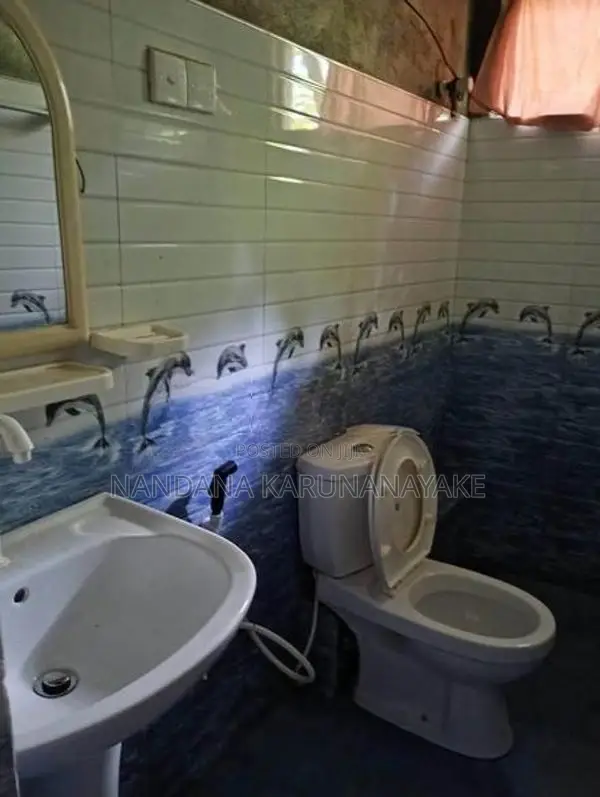 Room For Rent Girls Peradeniya