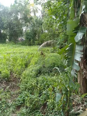 Land For Sale in Athurugiriya