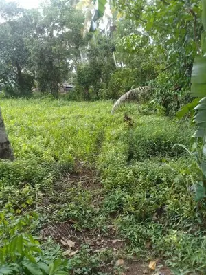 Land For Sale in Athurugiriya